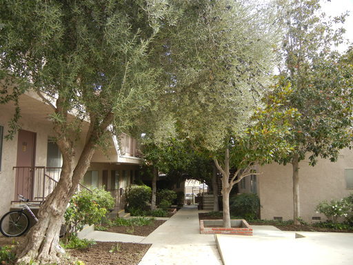 2 beds, 1 bath, $2,095, Unit 103