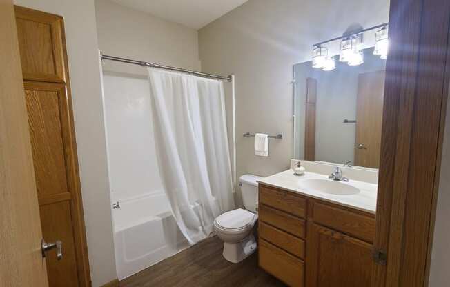 a bathroom with a shower toilet sink and mirror