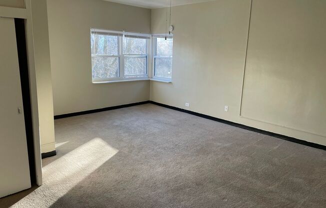 Studio, 1 bath, $875, Unit 301