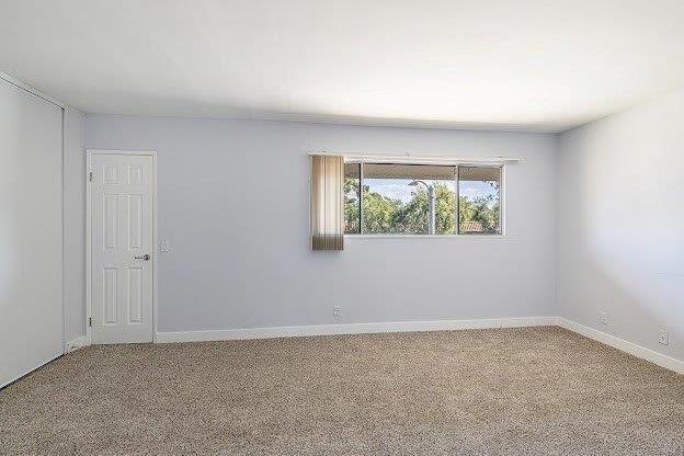 A room with a door and a window with a view of trees outside.