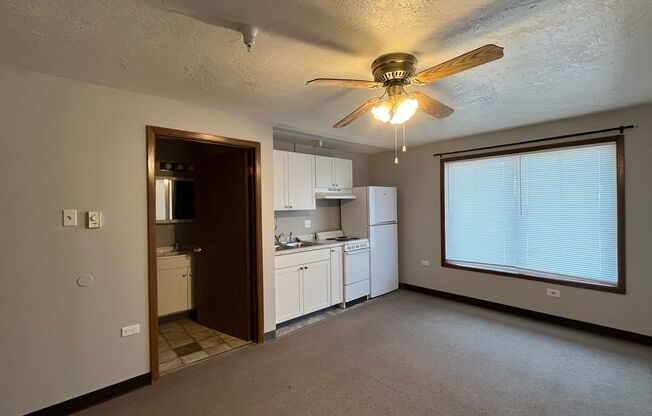 Studio, 1 bath, 263 sqft, $700, Unit 101