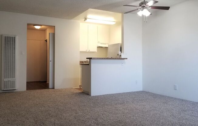 Studio, 1 bath, 400 sqft, $1,700, Unit 268