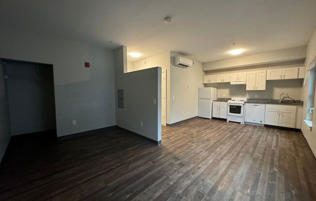 Studio, 1 bath, 420 sqft, $1,600, Unit 204