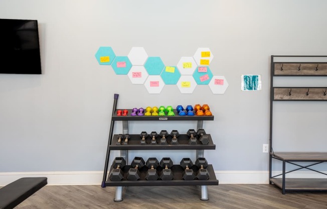 the gym has a variety of weights and dumbbells on display and a colorful