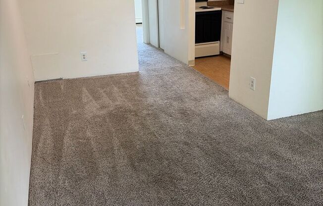 1 bed, 1 bath, 560 sqft, $850, Unit F-308