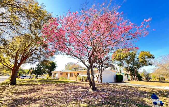 3BD/2BA Charming Blend of Modern Elegance and Florida Living at 1516 Dove Dr, Orlando! WASHER & DRYER INCLUDED!