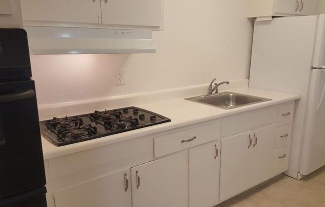 1 bed, 1 bath, $2,550, Unit 1