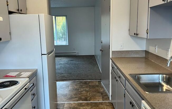 1 bed, 1 bath, 700 sqft, $1,200, Unit 54