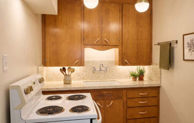 Studio, 1 bath, 500 sqft, $1,395, Unit 0301