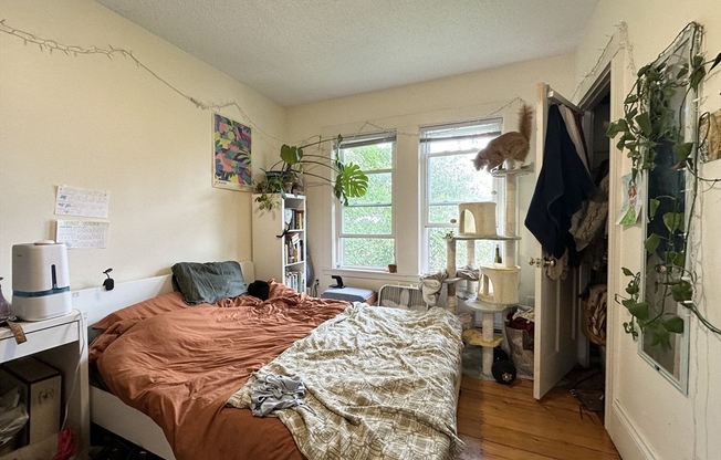 146 WEBSTER AVE
