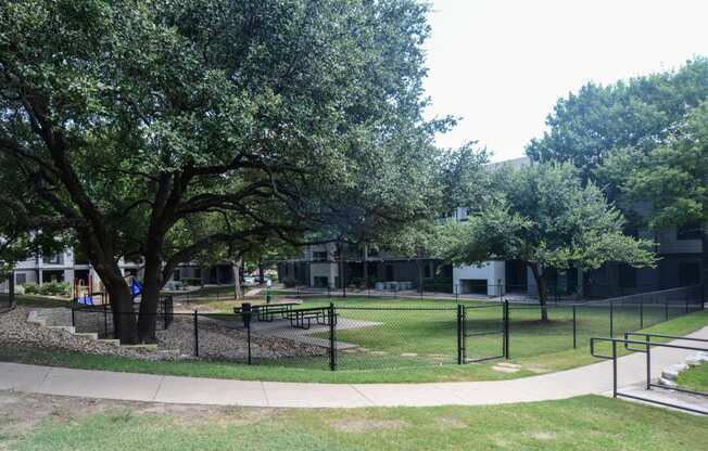 luxury apartments for rent near the domain with dog park