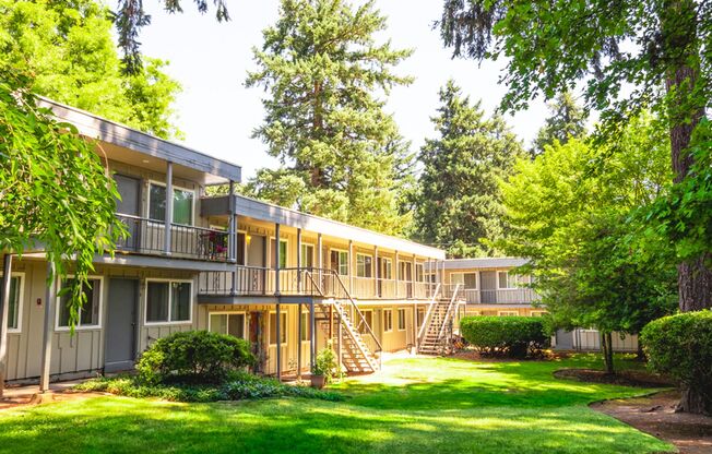 Peaceful Living Beneath the Fir Trees