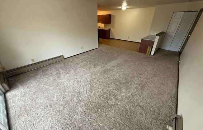 Williamsburg Flats 214