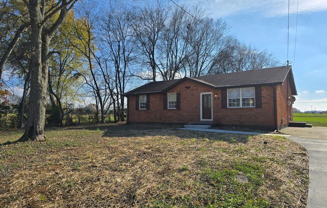 $1250 - Charming 3 Bedroom 1 Bathroom Brick Home