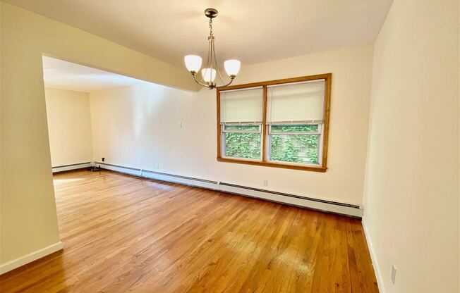230 WEBSTER AVE