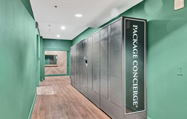 Electronic Parcel Locker System