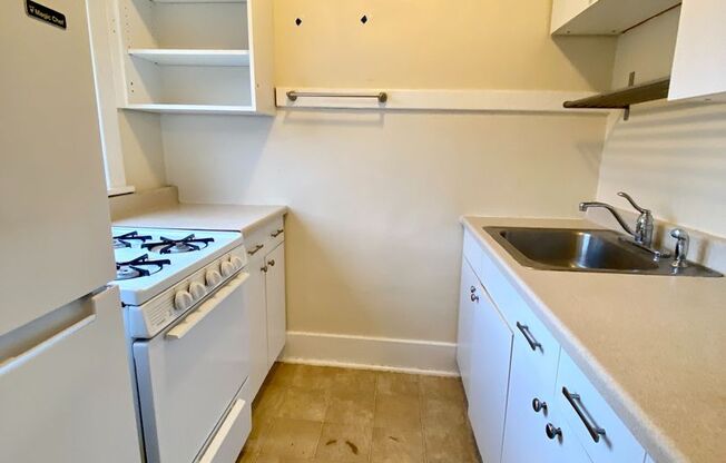 1 bed, 1 bath, 505 sqft, $1,495, Unit 15