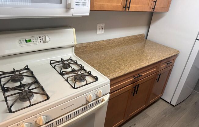 Bright & Spacious Condo in Sought-After Glenhardie Community