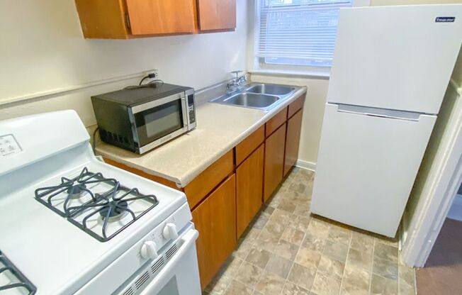 Studio, 1 bath, 280 sqft, $1,295, Unit 208