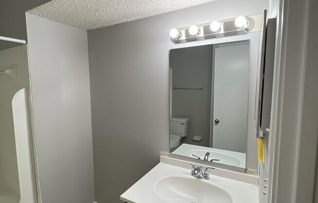 a bathroom with a sink and a mirror