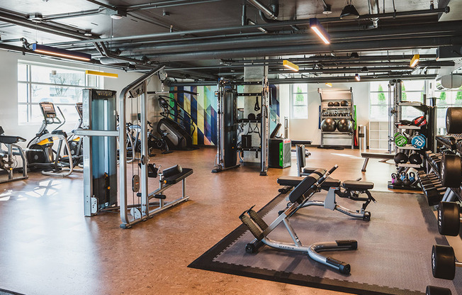 Club-level fitness center with free weights