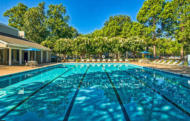 A large outdoor swimming pool with lane markers and sun loungers.