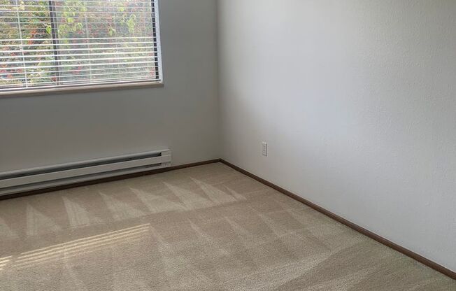 1 bed, 1 bath, 700 sqft, $1,775, Unit 3