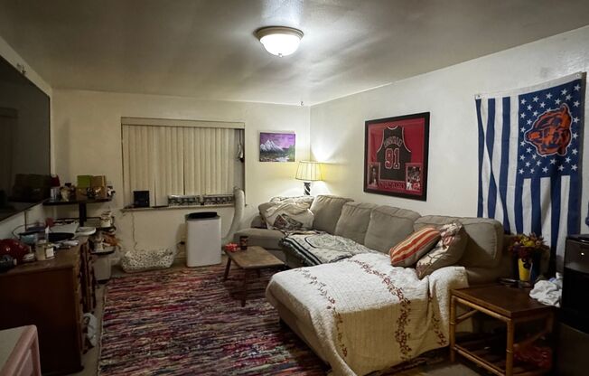 1 bed, 1 bath, $1,550, Unit 3