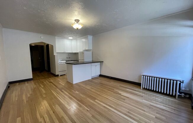 Studio, 1 bath, 330 sqft, $1,450, Unit 112
