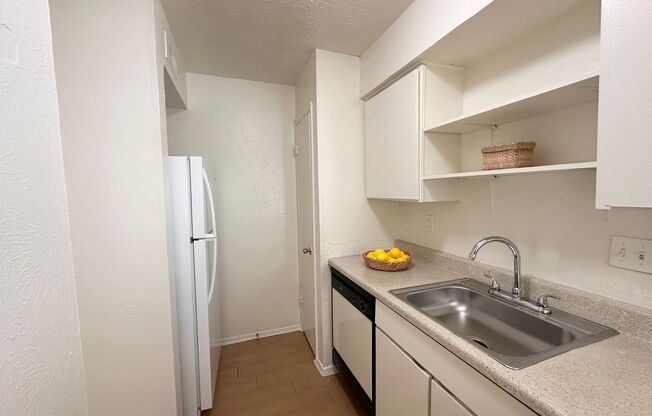 1 bed, 1 bath, 540 sqft, $1,199, Unit OPA-172