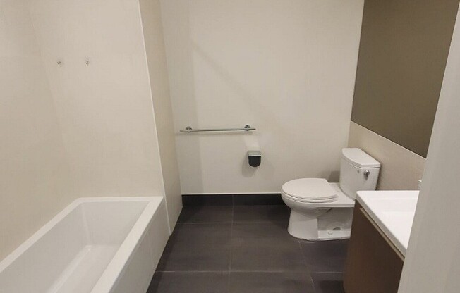 1 bed, 1 bath, 730 sqft, $3,500, Unit 3702