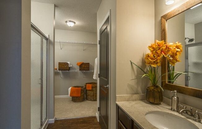 a bathroom with a sink and a shower and a mirror