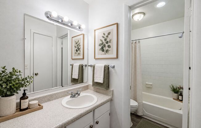 1 bed, 1 bath, 672 sqft, $1,100, Unit 2298-11