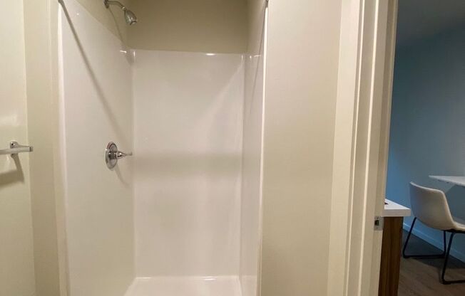 Studio, 1 bath, 178 sqft, $1,150, Unit 425-MFTE