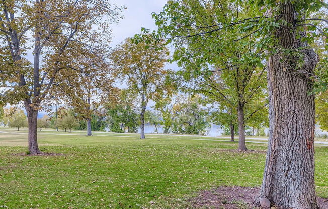 1 bed, 1.5 baths, 951 sqft, $2,300, Unit 617