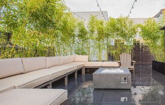 The Abbey Apts...Spacious Bedrooms...Brand New Designed Modern Apt Homes! CALL NOW!