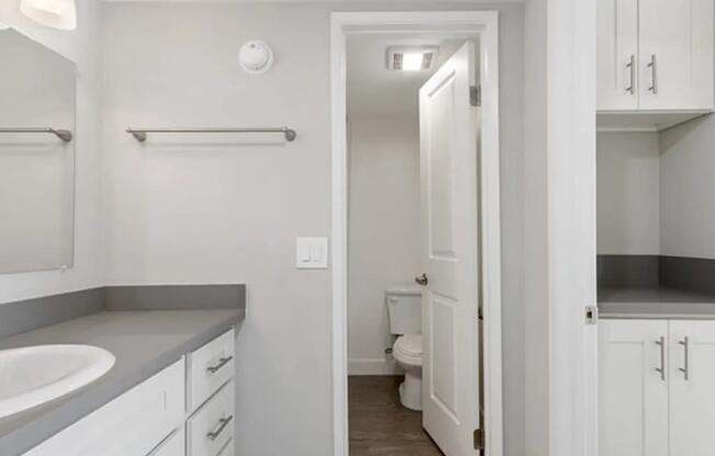 a bathroom with a sink and a toilet and a mirror