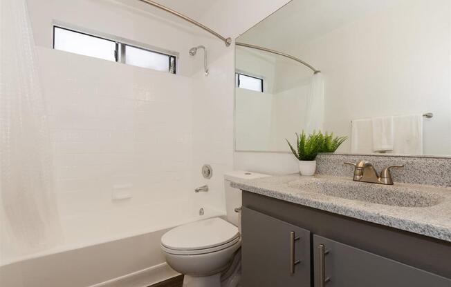 a bathroom with a sink and a toilet