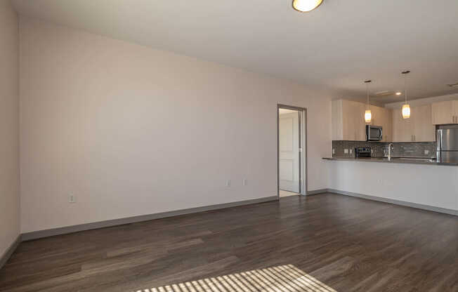 Living Area and Kitchen with Hard Surface Flooring