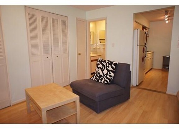 Studio, 1 bath, 387 sqft, $1,700, Unit 10