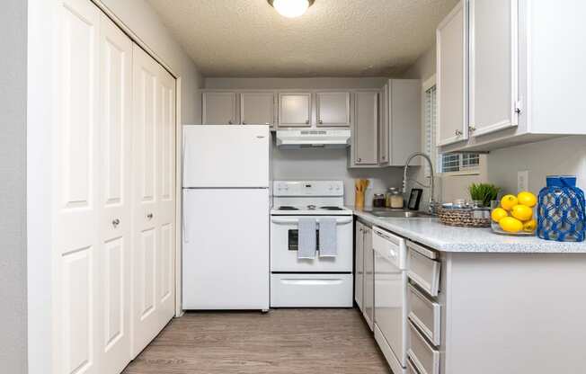 Tamaryn | Townhome B Kitchen