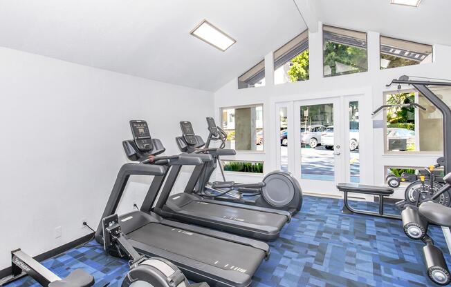 A modern gym interior featuring multiple treadmills and exercise equipment. The space has a bright atmosphere with large windows allowing natural light to enter, and a blue carpet design on the floor.