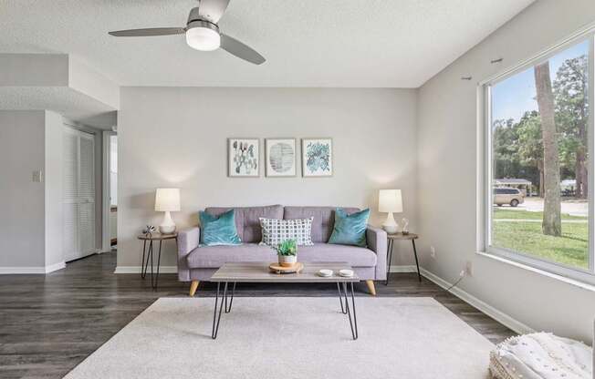 A living room with a grey couch and a grey rug.