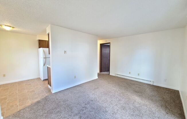 1 bed, 1 bath, 500 sqft, $950, Unit 721 S Lincoln Pl #2