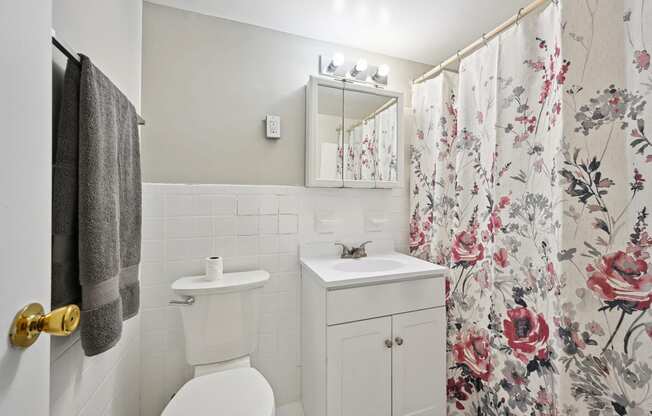 a bathroom with a shower curtain and a toilet and a sink