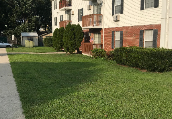 213 STEPHEN ST