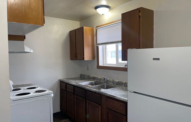 1 bed, 1 bath, 465 sqft, $595, Unit 1119-102