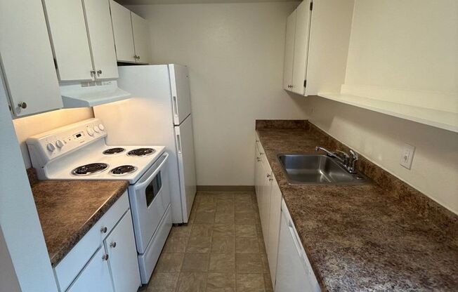 1 bed, 1 bath, 660 sqft, $1,095, Unit 485