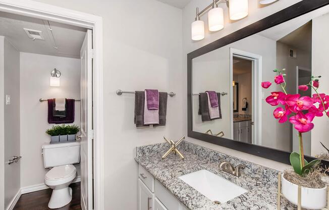 1 bed, 1 bath, 810 sqft, $1,485