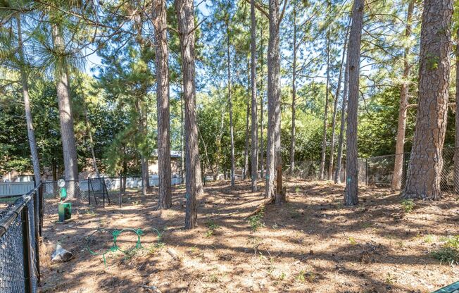 1 bed, 1 bath, 800 sqft, $999, Unit A-04